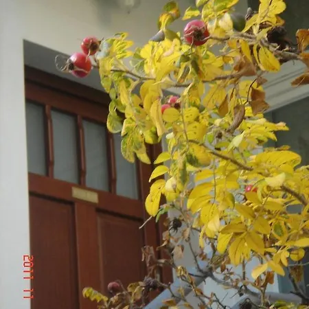 Apartament Wild Rose Apartment Sopot