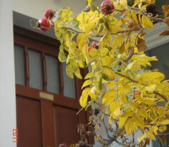 Apartament Wild Rose Appartamento Sopot